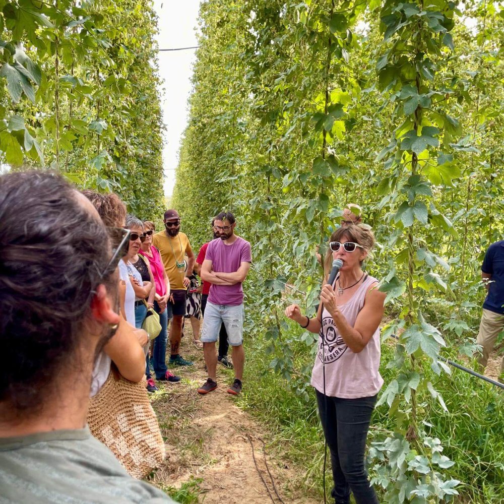 2d29a657-eab8-4fc5-8ee4-8610efdc2802